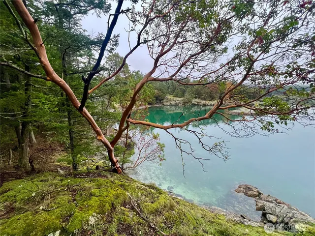 $875,000 | 3521 Deer Harbor Road, Orcas Island, WA 98243