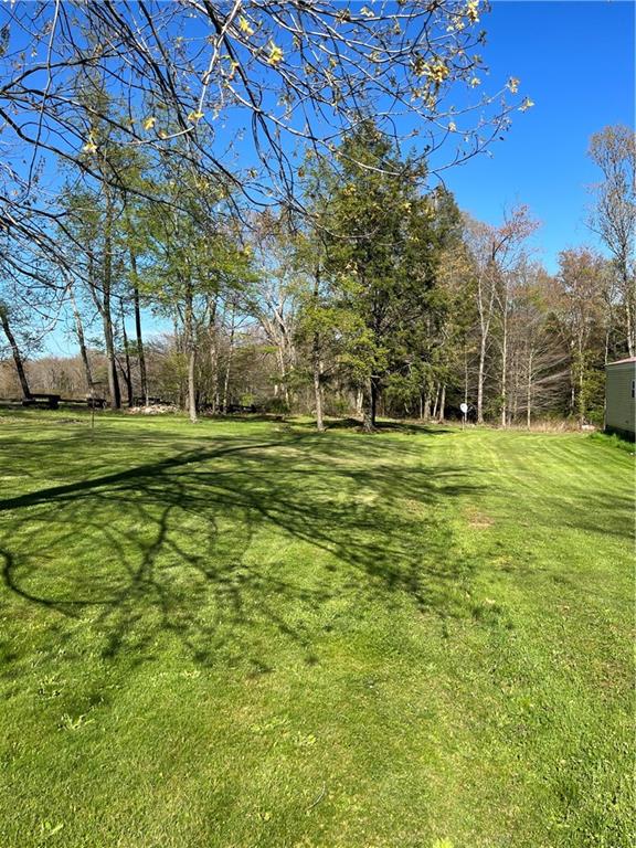 42686 Gilson Ridge Road Titusville, PA 16354 - Photo 5 of 19 a big yard with lots of trees and plants