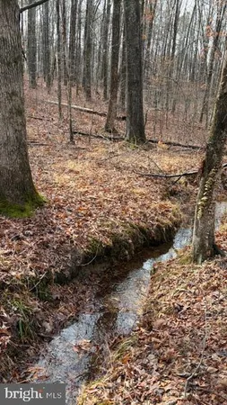 $339,000 | 0 Mountain Track Road, Orange, VA 22960