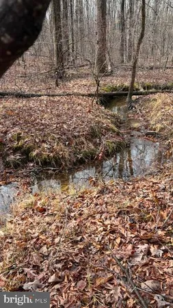 $339,000 | 0 Mountain Track Road, Orange, VA 22960