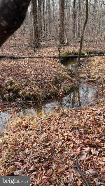 0 Mountain Track Road Orange, VA 22960 - Photo 12 of 24