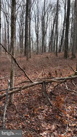 $339,000 | 0 Mountain Track Road, Orange, VA 22960