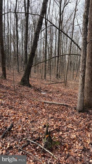 0 Mountain Track Road Orange, VA 22960 - Photo 14 of 24