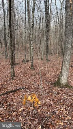 $339,000 | 0 Mountain Track Road, Orange, VA 22960