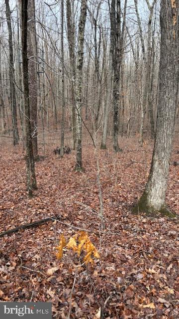 0 Mountain Track Road Orange, VA 22960 - Photo 15 of 24