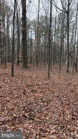 $339,000 | 0 Mountain Track Road, Orange, VA 22960