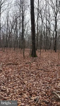 $339,000 | 0 Mountain Track Road, Orange, VA 22960
