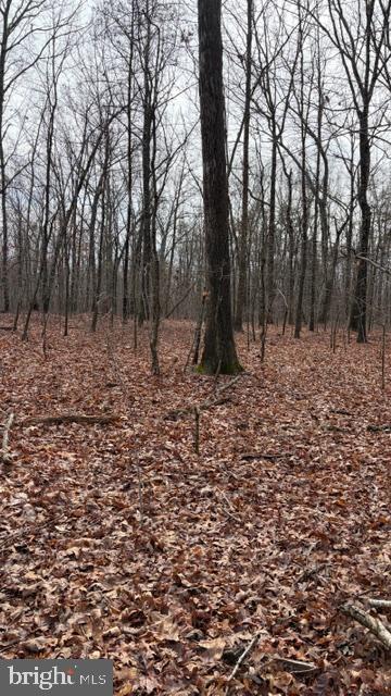 0 Mountain Track Road Orange, VA 22960 - Photo 17 of 24