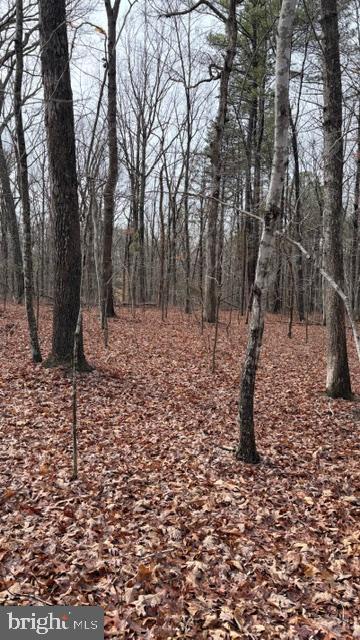 0 Mountain Track Road Orange, VA 22960 - Photo 18 of 24