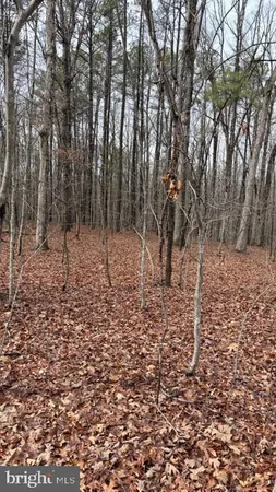 $339,000 | 0 Mountain Track Road, Orange, VA 22960