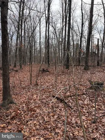 $339,000 | 0 Mountain Track Road, Orange, VA 22960