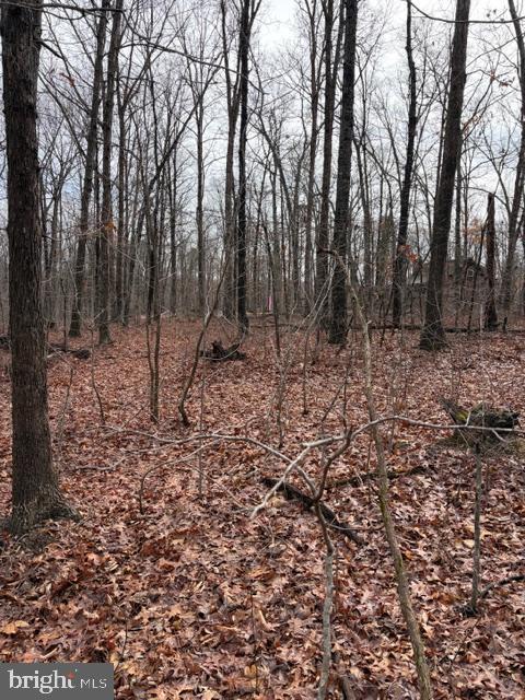 0 Mountain Track Road Orange, VA 22960 - Photo 20 of 24