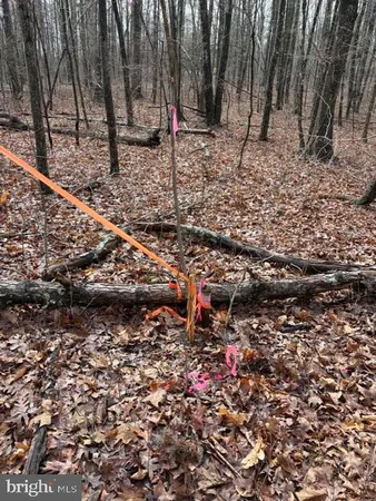 $339,000 | 0 Mountain Track Road, Orange, VA 22960