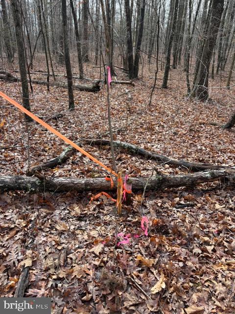 0 Mountain Track Road Orange, VA 22960 - Photo 21 of 24