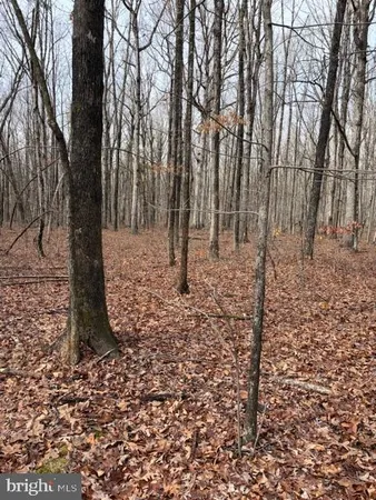 $339,000 | 0 Mountain Track Road, Orange, VA 22960