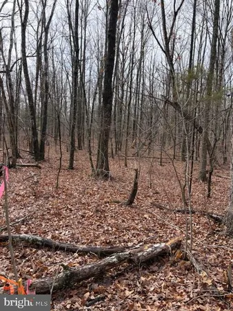 $339,000 | 0 Mountain Track Road, Orange, VA 22960