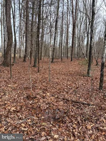 $339,000 | 0 Mountain Track Road, Orange, VA 22960