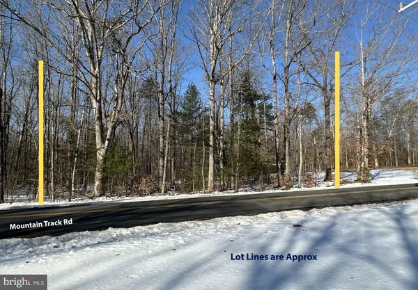 $339,000 | 0 Mountain Track Road, Orange, VA 22960