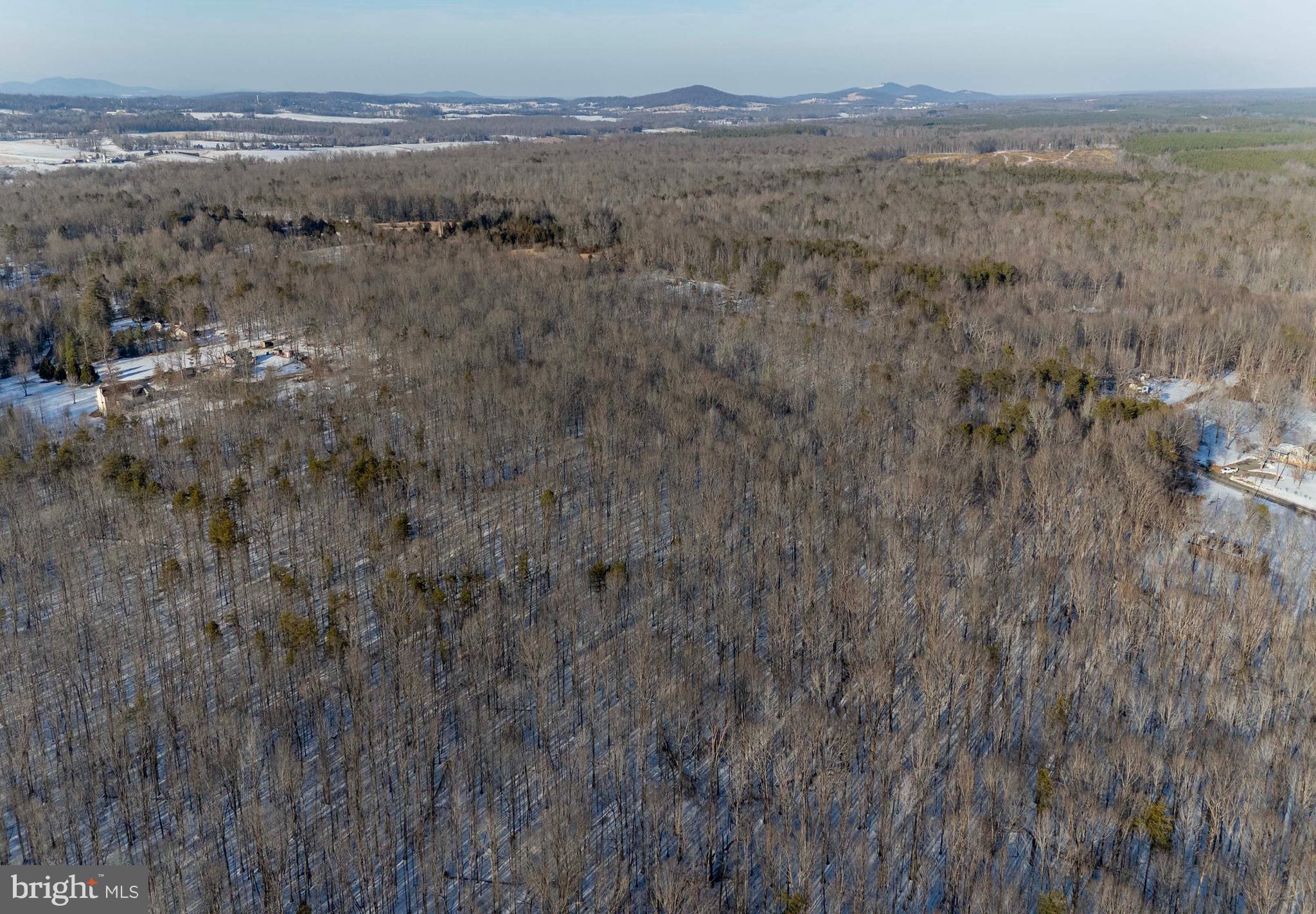 0 Mountain Track Road Orange, VA 22960 - Photo 7 of 24 32 acres