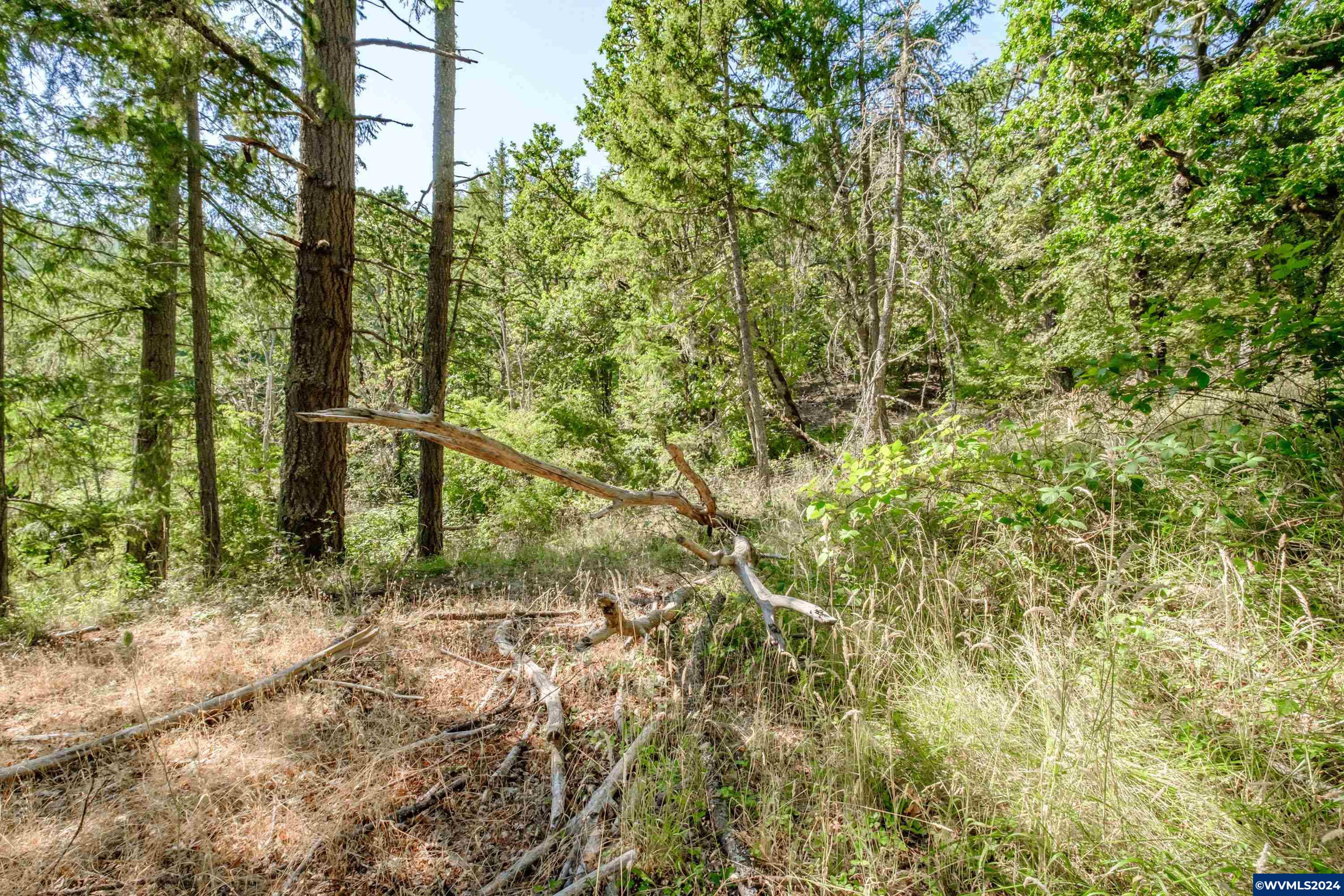 28920 Sheep Head Road Brownsville, OR 97327 - Photo 27 of 32