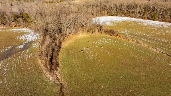 8345 Rocky Ridge Road, Hopkinsville, KY 42240