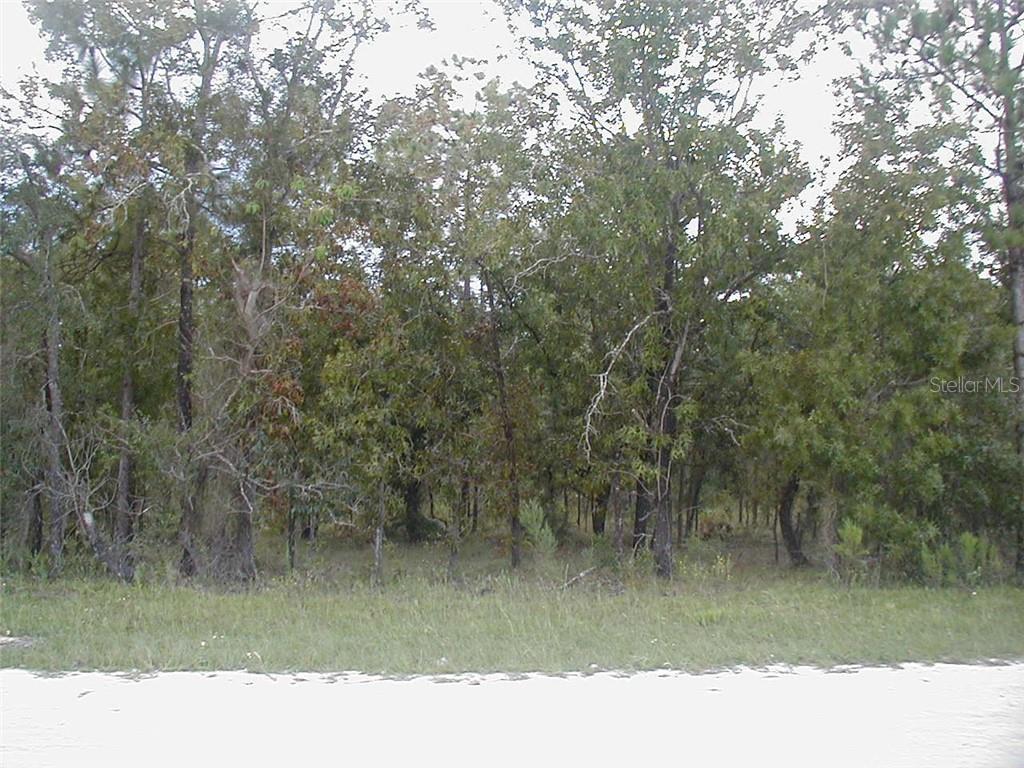 Flemington Road Weeki Wachee, FL 34614 - Photo 1 of 1