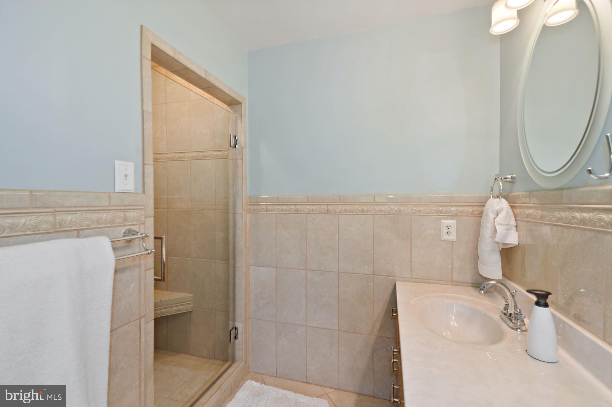 133 Watson Mill Road Landenberg, PA 19350 - Photo 32 of 50 Shower of owners suite