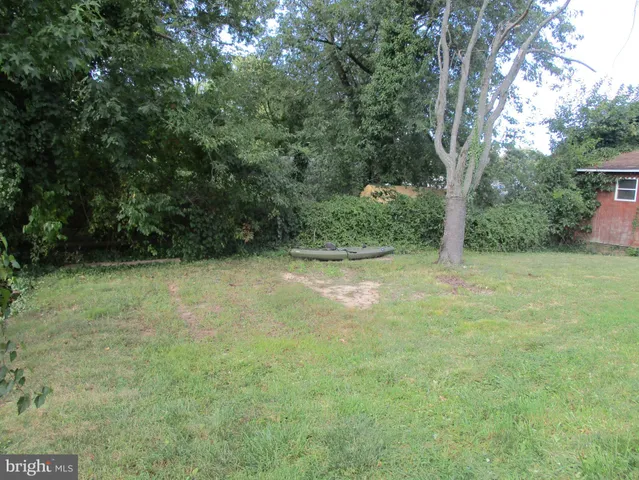 a view of a yard with a tree