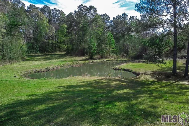 $225,000 | 32730 Bill Williams Road, Walker, LA 70785