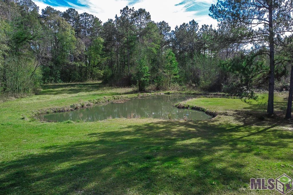 32730 Bill Williams Road Walker, LA 70785 - Photo 14 of 17