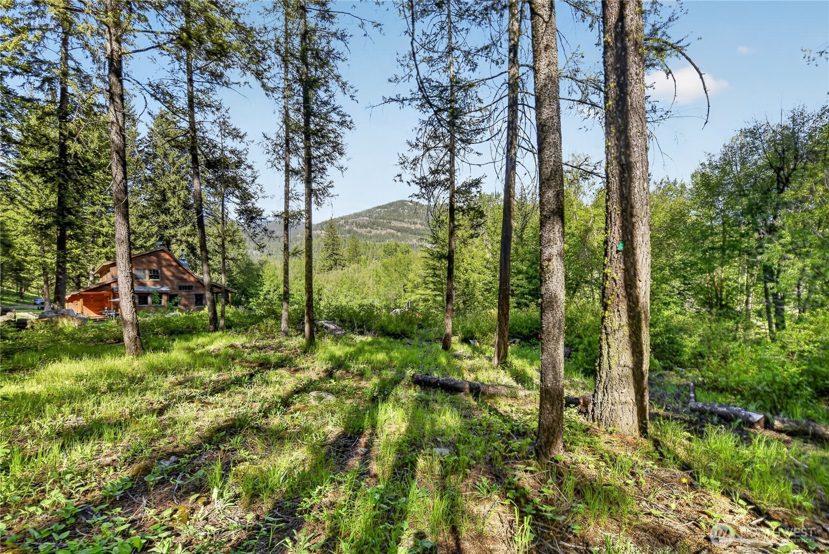 19 2 Rivers Road Mazama, WA 98833 - Photo 37 of 40 a view of an outdoor space