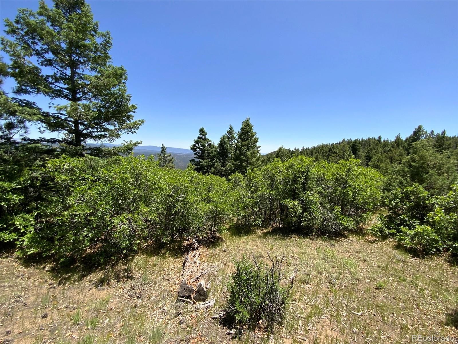 0 Peak View Ridge Canon City, CO 81212 - Photo 11 of 43 a view of a yard with a tree