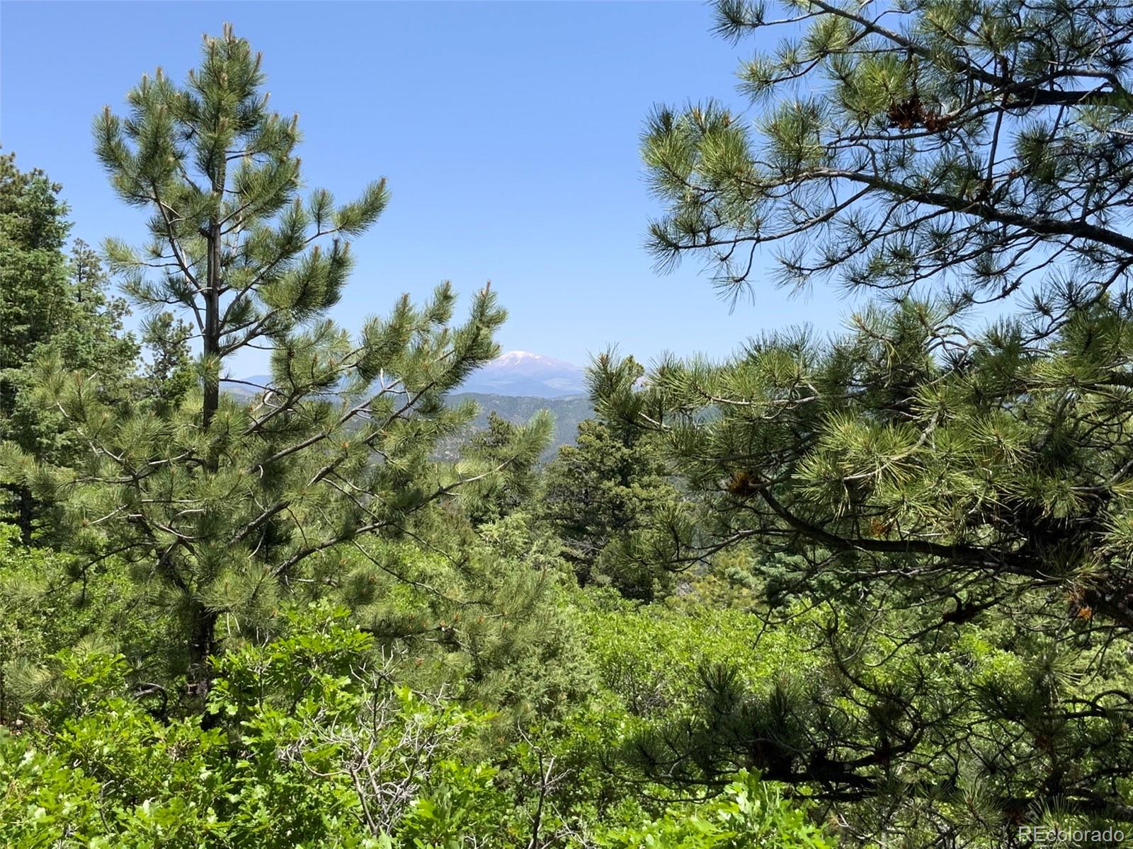 0 Peak View Ridge Canon City, CO 81212 - Photo 12 of 43 a view of a flower in a garden