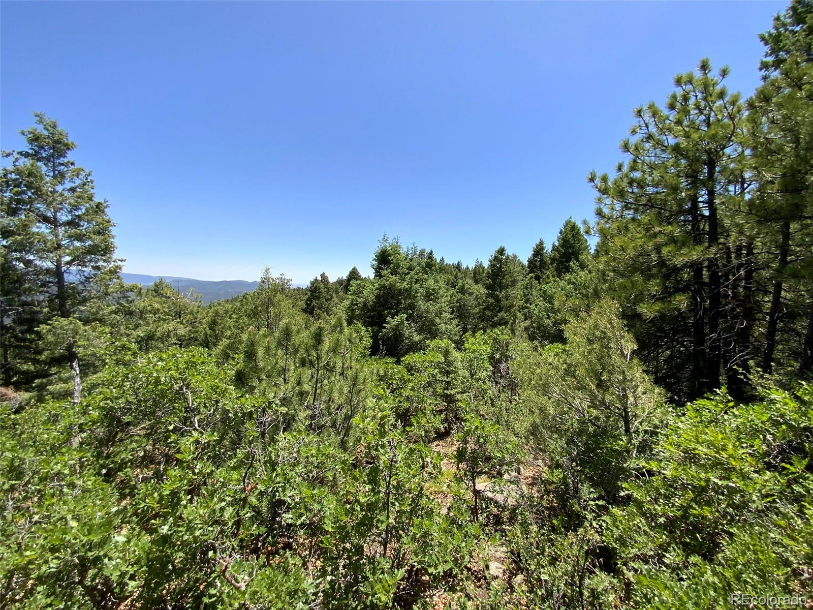 0 Peak View Ridge Canon City, CO 81212 - Photo 14 of 43 a view of a green field