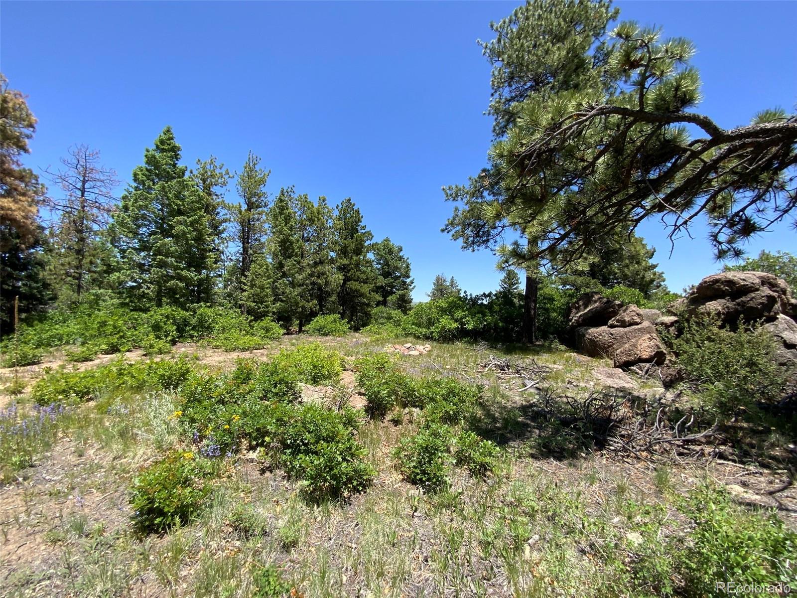 0 Peak View Ridge Canon City, CO 81212 - Photo 15 of 43 a view of a lush green field