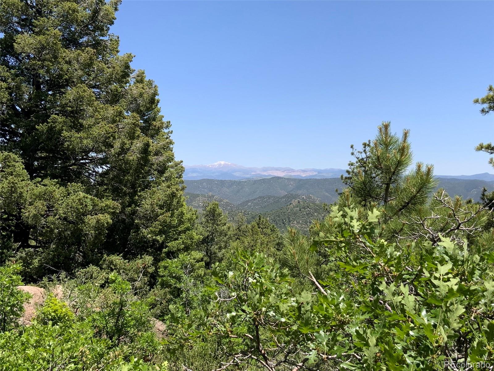 0 Peak View Ridge Canon City, CO 81212 - Photo 17 of 43 a view of a green field