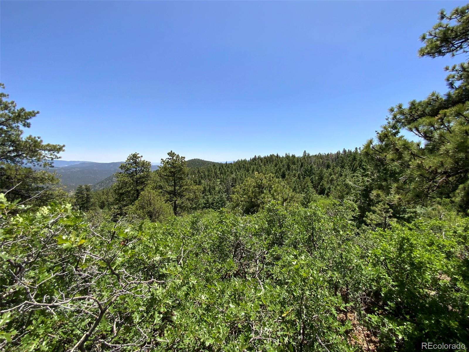 0 Peak View Ridge Canon City, CO 81212 - Photo 18 of 43 a view of a green field