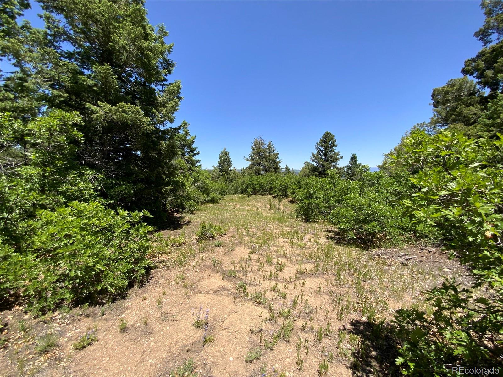 0 Peak View Ridge Canon City, CO 81212 - Photo 20 of 43 a view of a yard with plants and trees