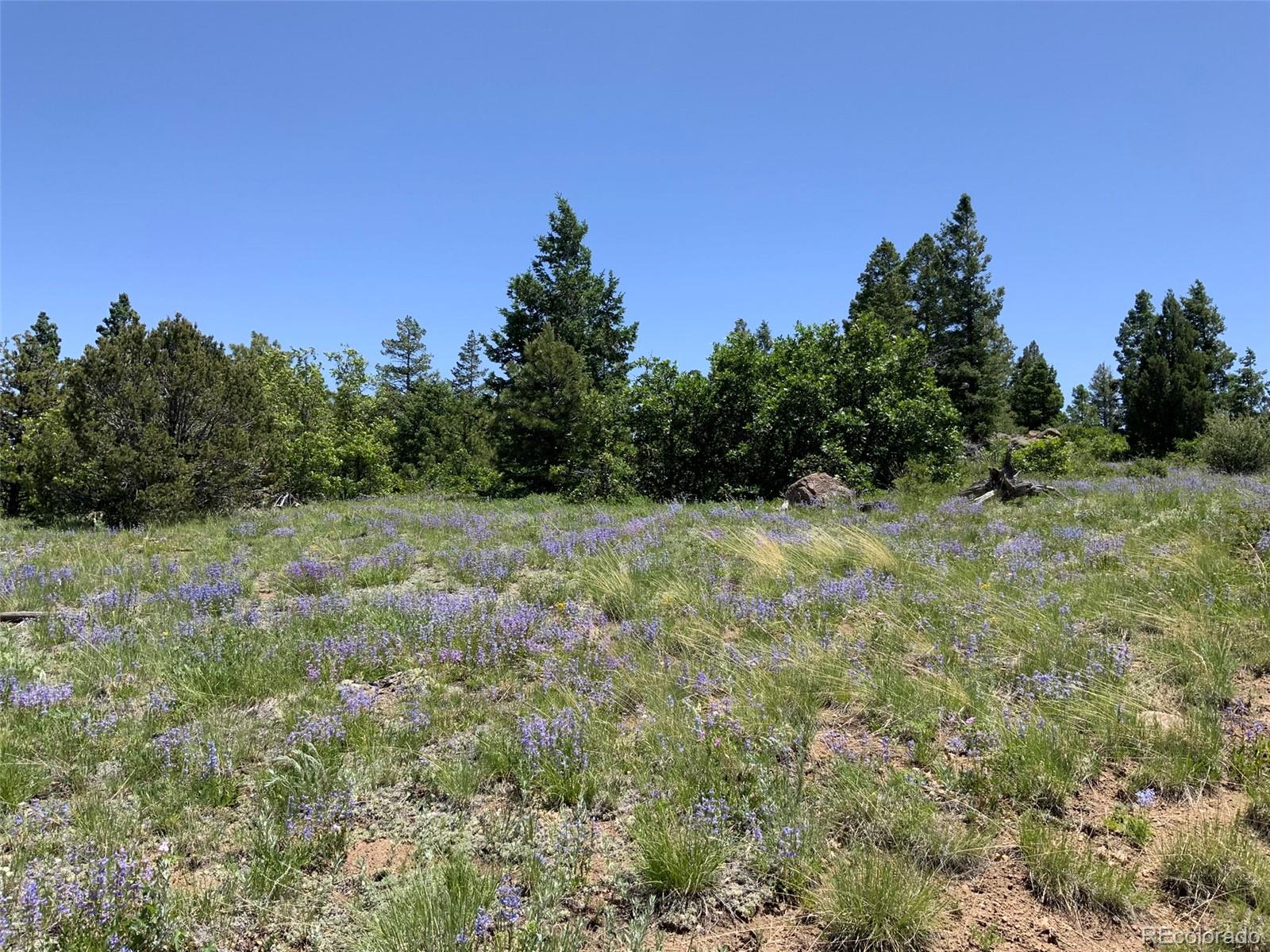 0 Peak View Ridge Canon City, CO 81212 - Photo 2 of 43 a view of a yard with a tree