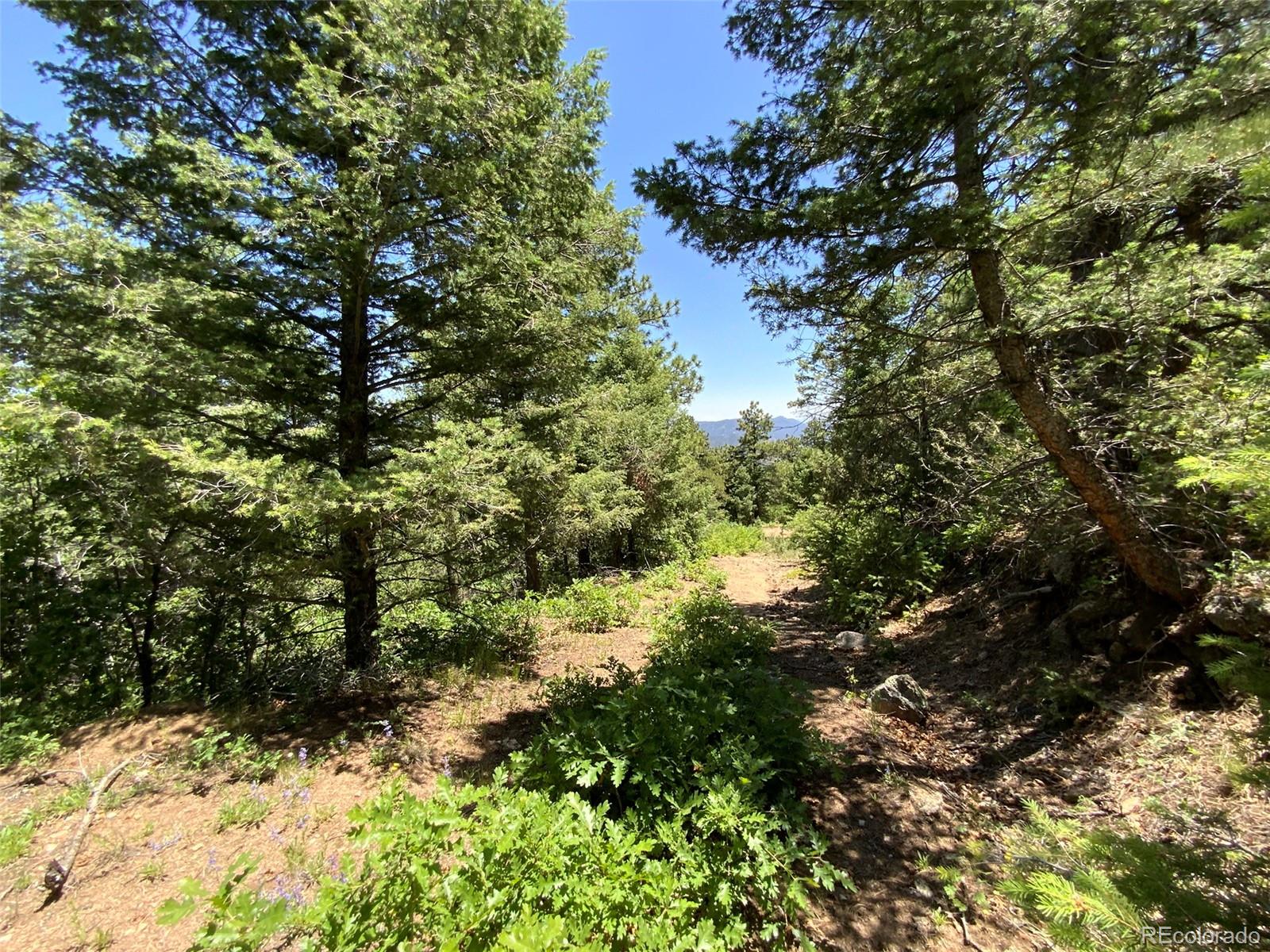 0 Peak View Ridge Canon City, CO 81212 - Photo 23 of 43 a view of a tree in a yard