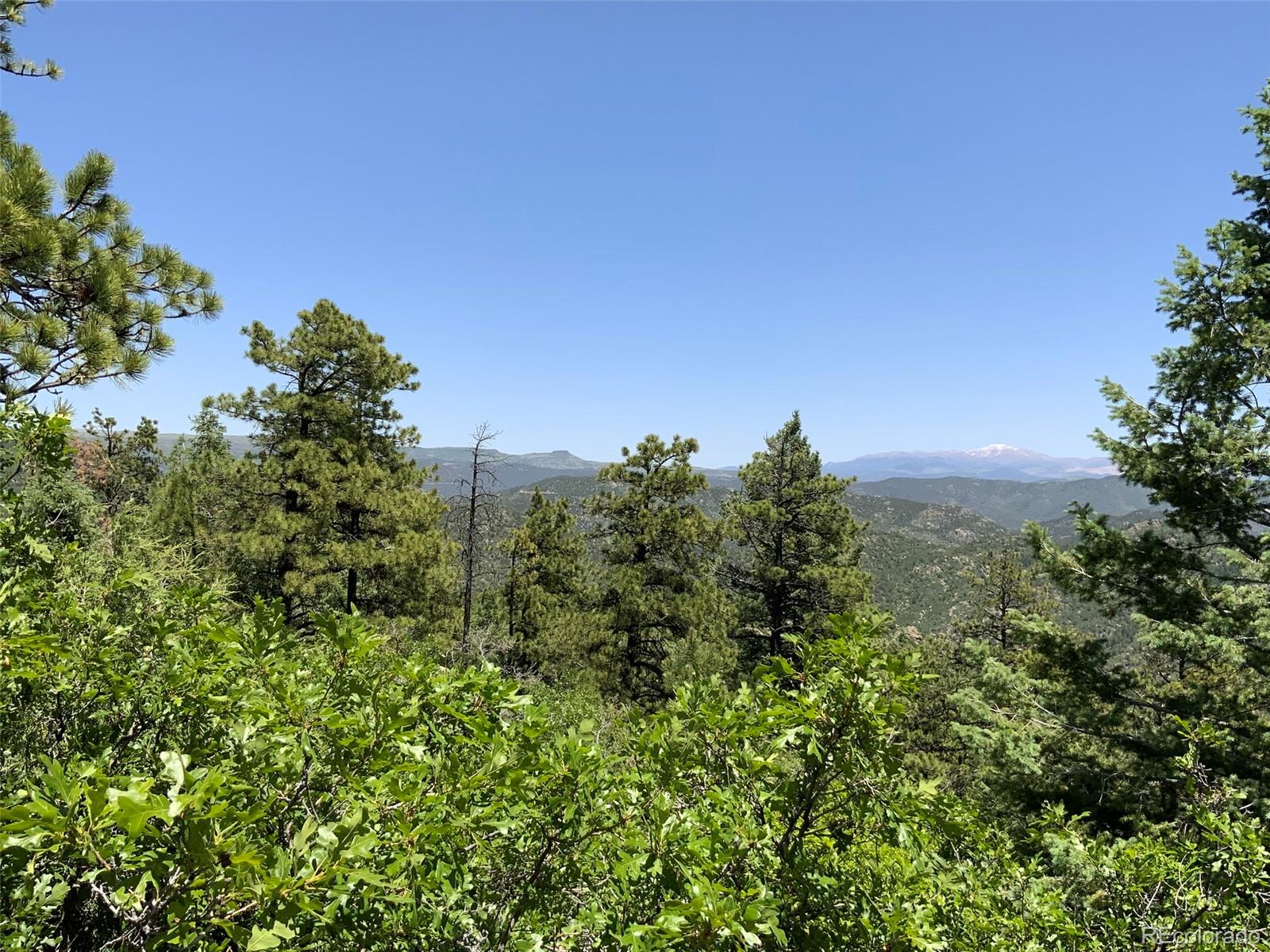 0 Peak View Ridge Canon City, CO 81212 - Photo 26 of 43 a view of a green field