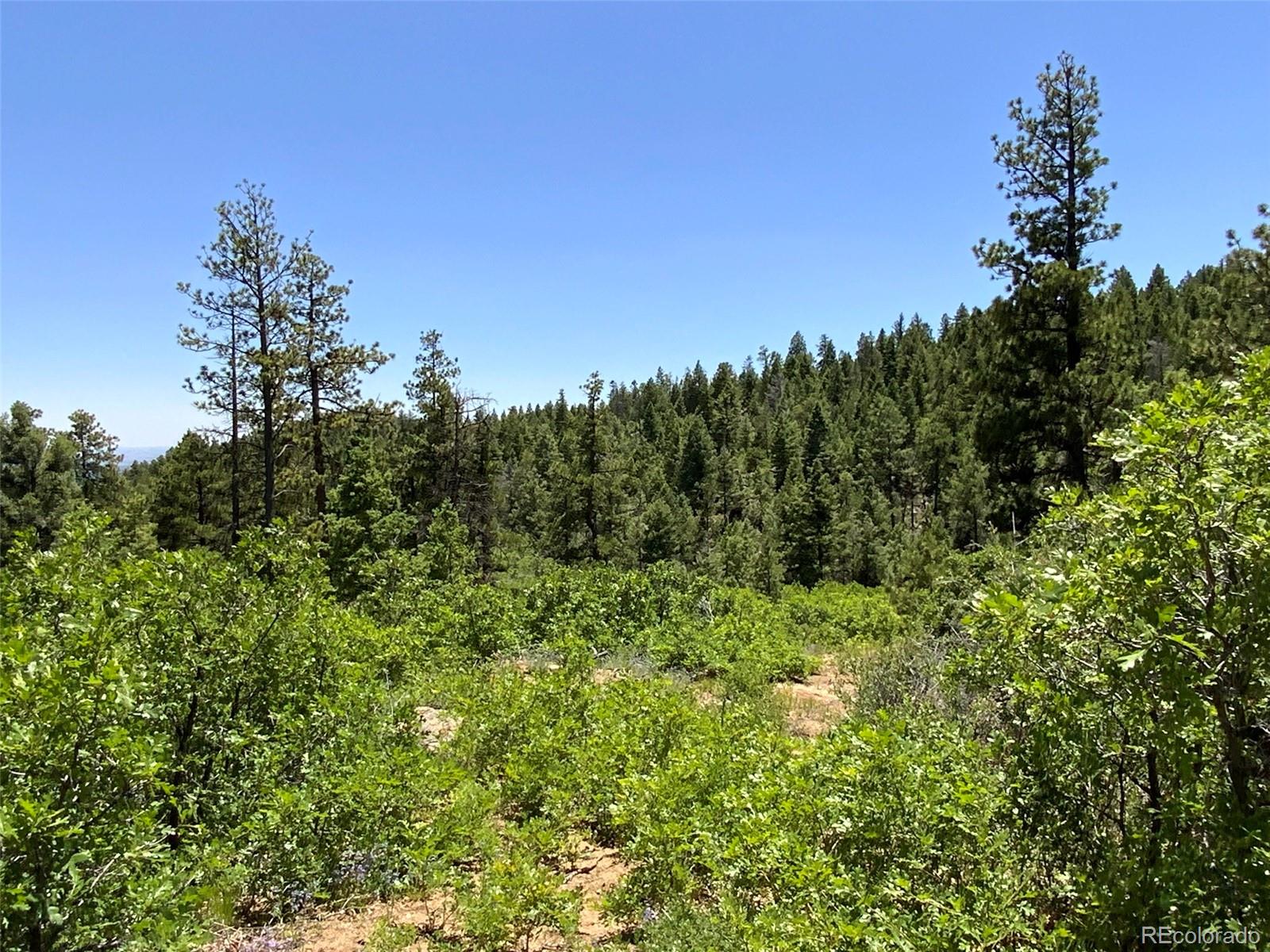 0 Peak View Ridge Canon City, CO 81212 - Photo 30 of 43 a view of a lush green space