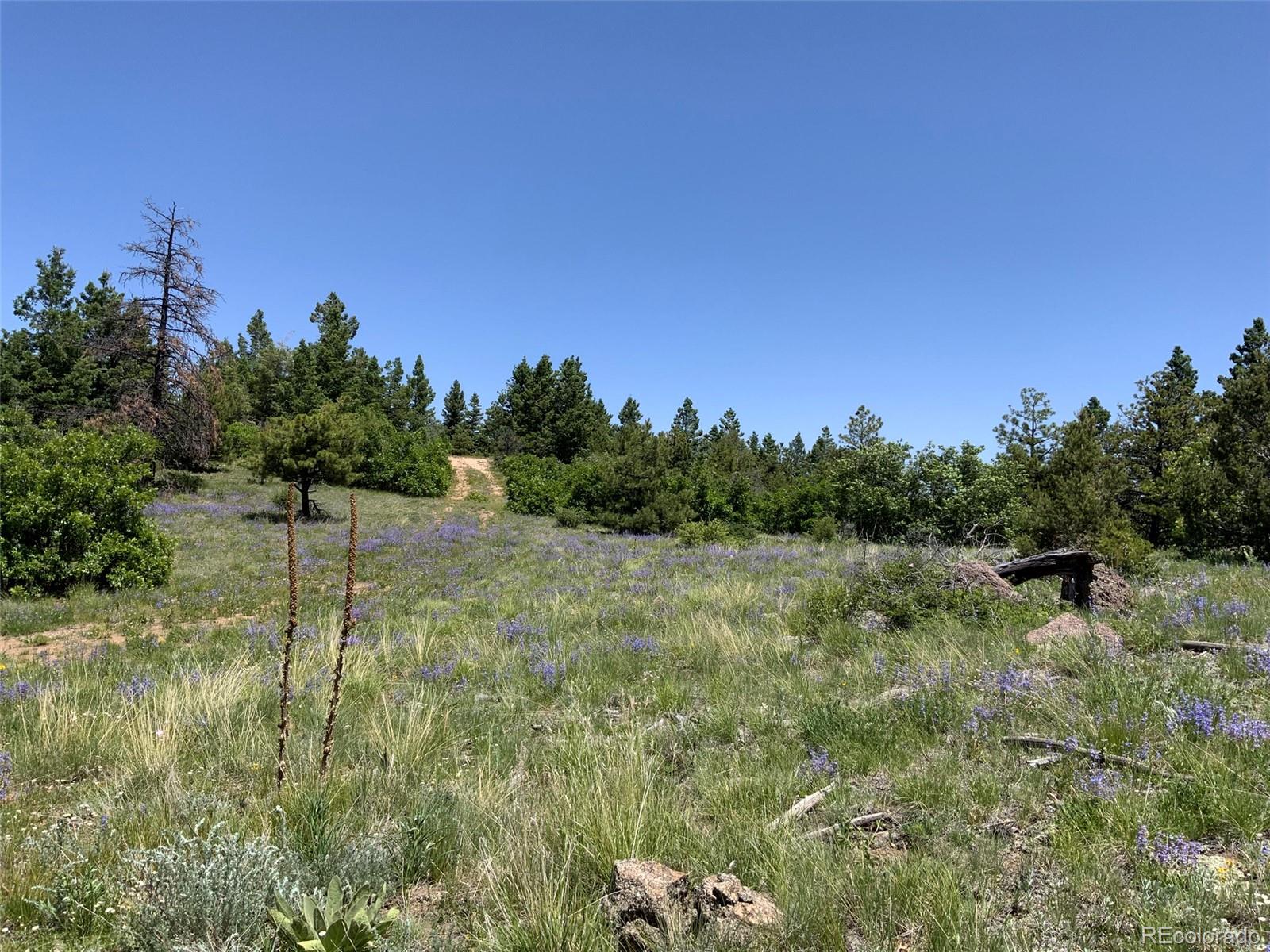 0 Peak View Ridge Canon City, CO 81212 - Photo 3 of 43 a view of a garden