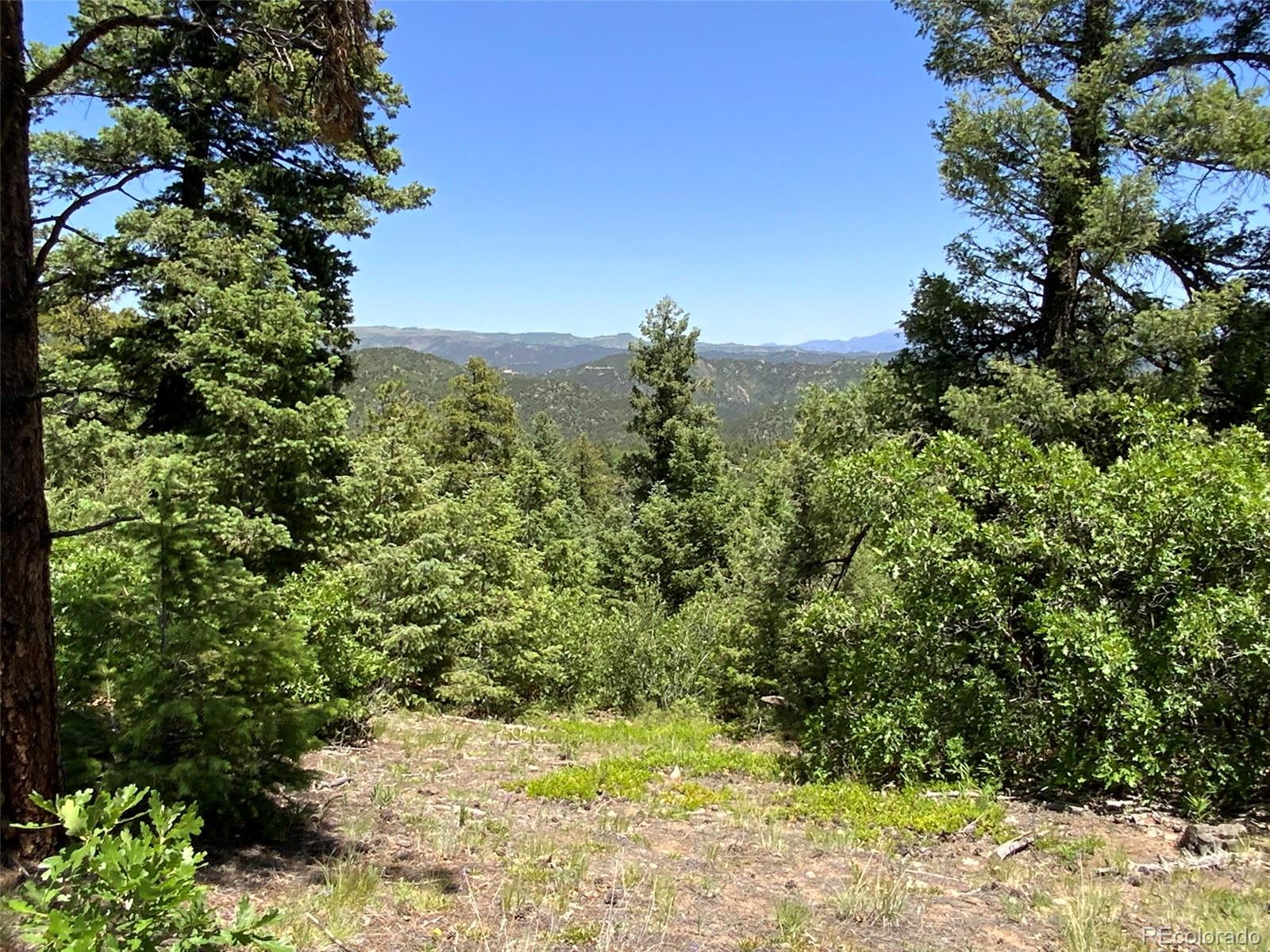 0 Peak View Ridge Canon City, CO 81212 - Photo 32 of 43 a view of a yard with a tree