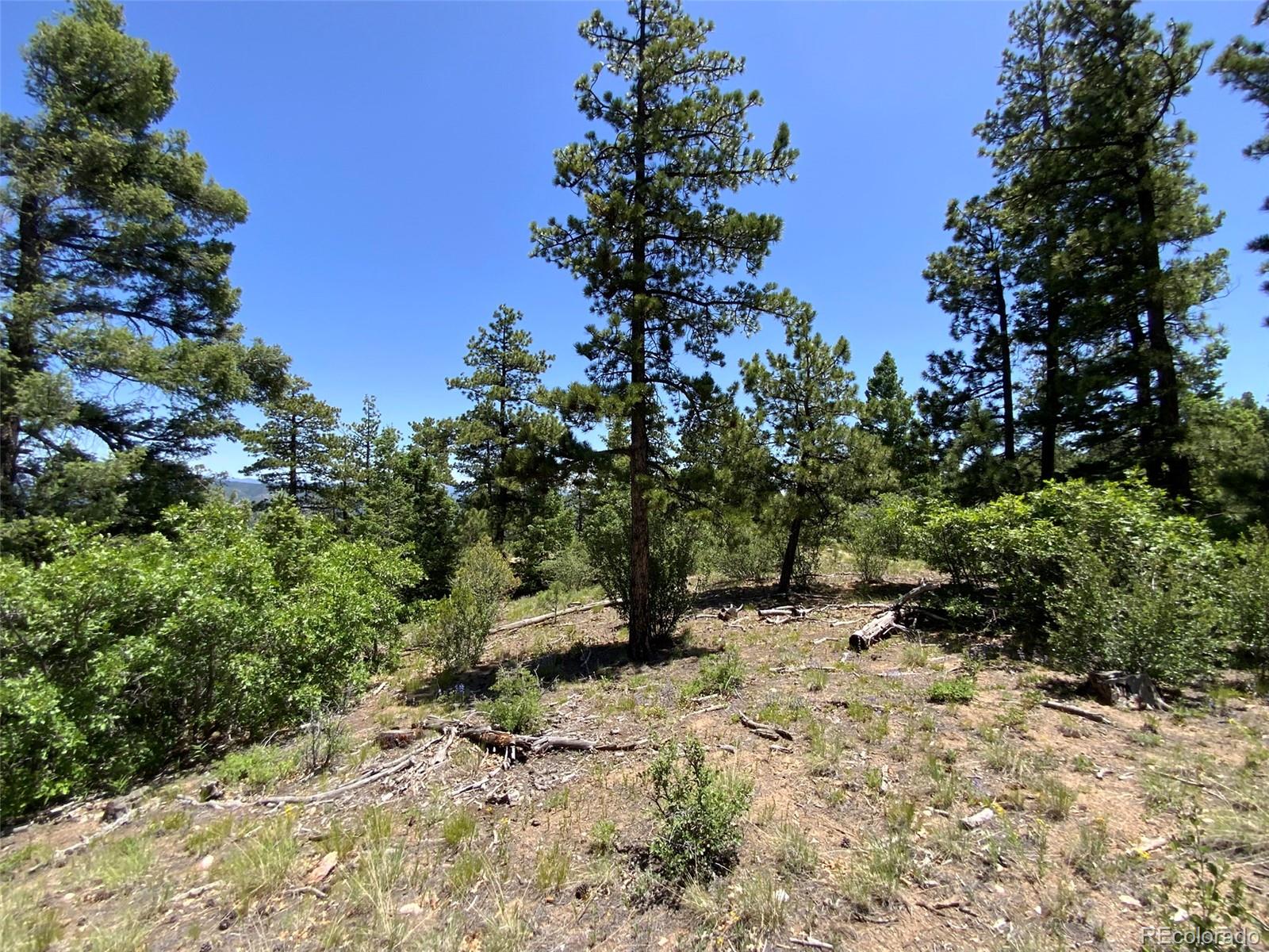 0 Peak View Ridge Canon City, CO 81212 - Photo 34 of 43 a view of outdoor space with lots of trees