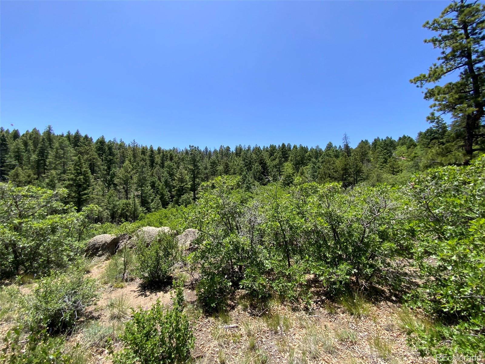 0 Peak View Ridge Canon City, CO 81212 - Photo 38 of 43 a view of a city with lush green forest