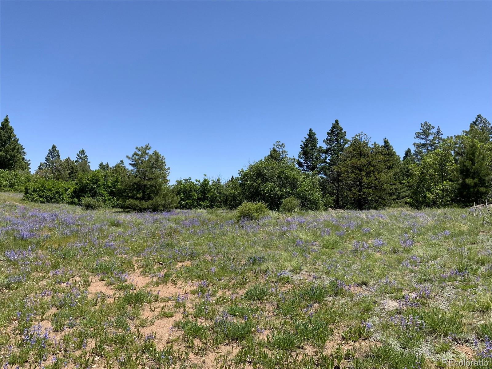 0 Peak View Ridge Canon City, CO 81212 - Photo 4 of 43 a view of a field with trees in the background