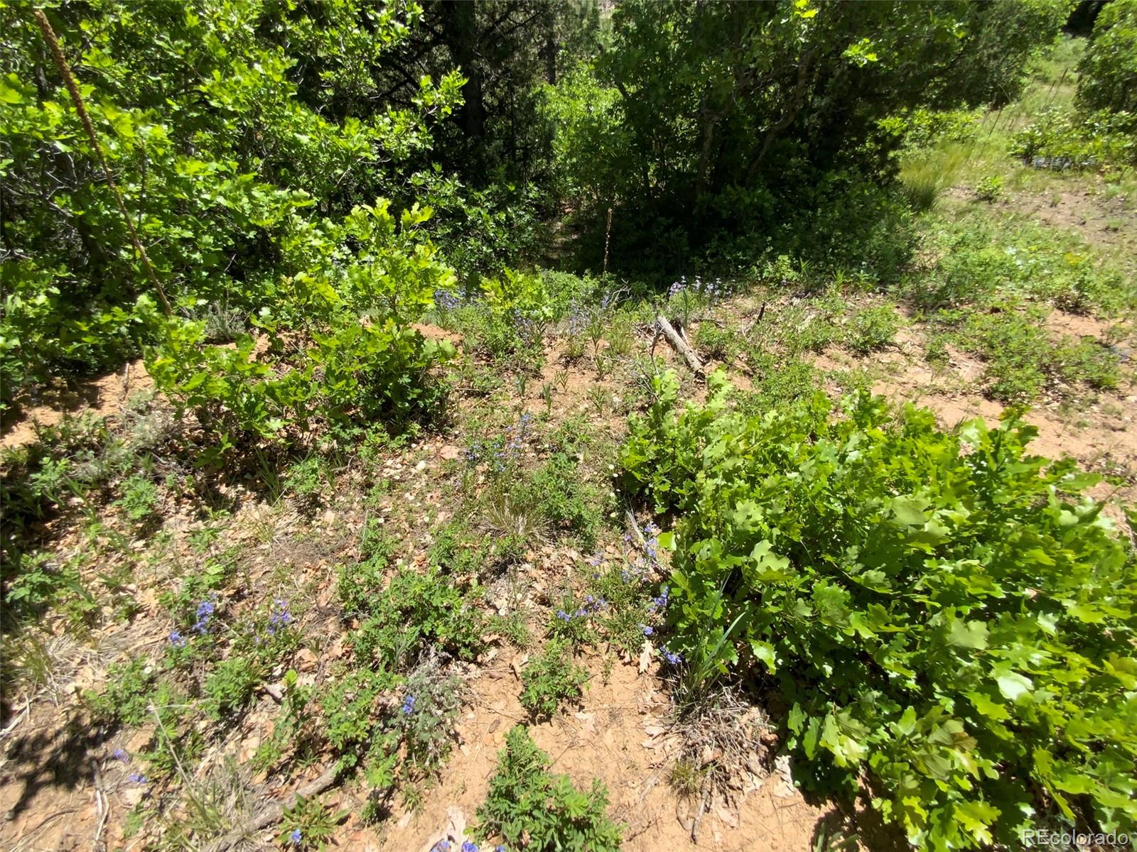 0 Peak View Ridge Canon City, CO 81212 - Photo 42 of 43 a view of a yard