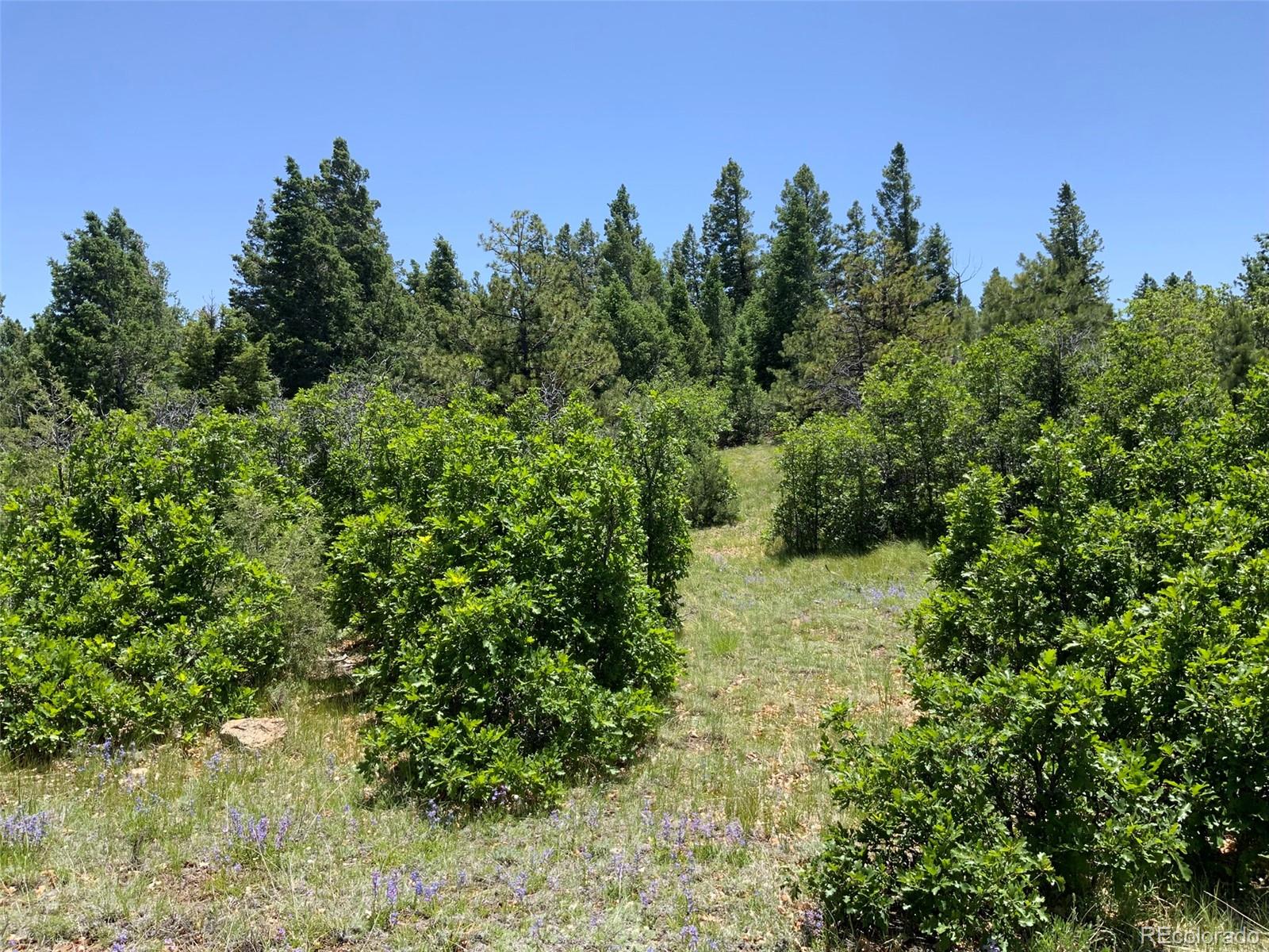 0 Peak View Ridge Canon City, CO 81212 - Photo 6 of 43 a view of a yard
