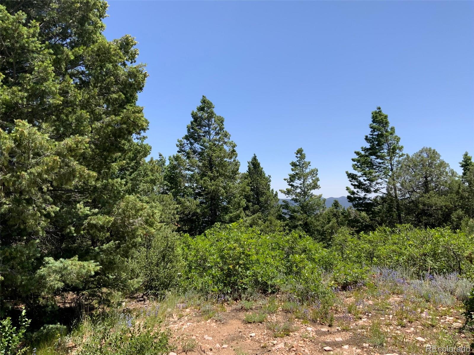 0 Peak View Ridge Canon City, CO 81212 - Photo 8 of 43 a view of a house with a street